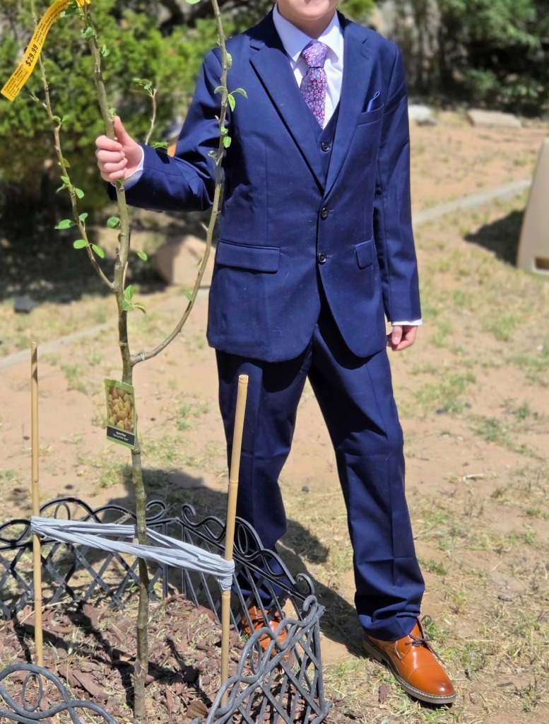 Outdoor natural light test of navy suit with purple tie and cognac shoes