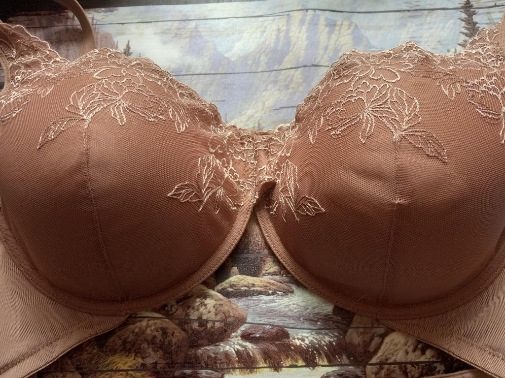 Playtex 4805 lay-flat view showing centered gore and underwire channel