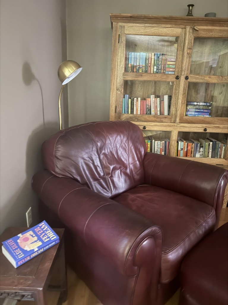 OBright Nova Adjustable Gooseneck Floor Lamp
